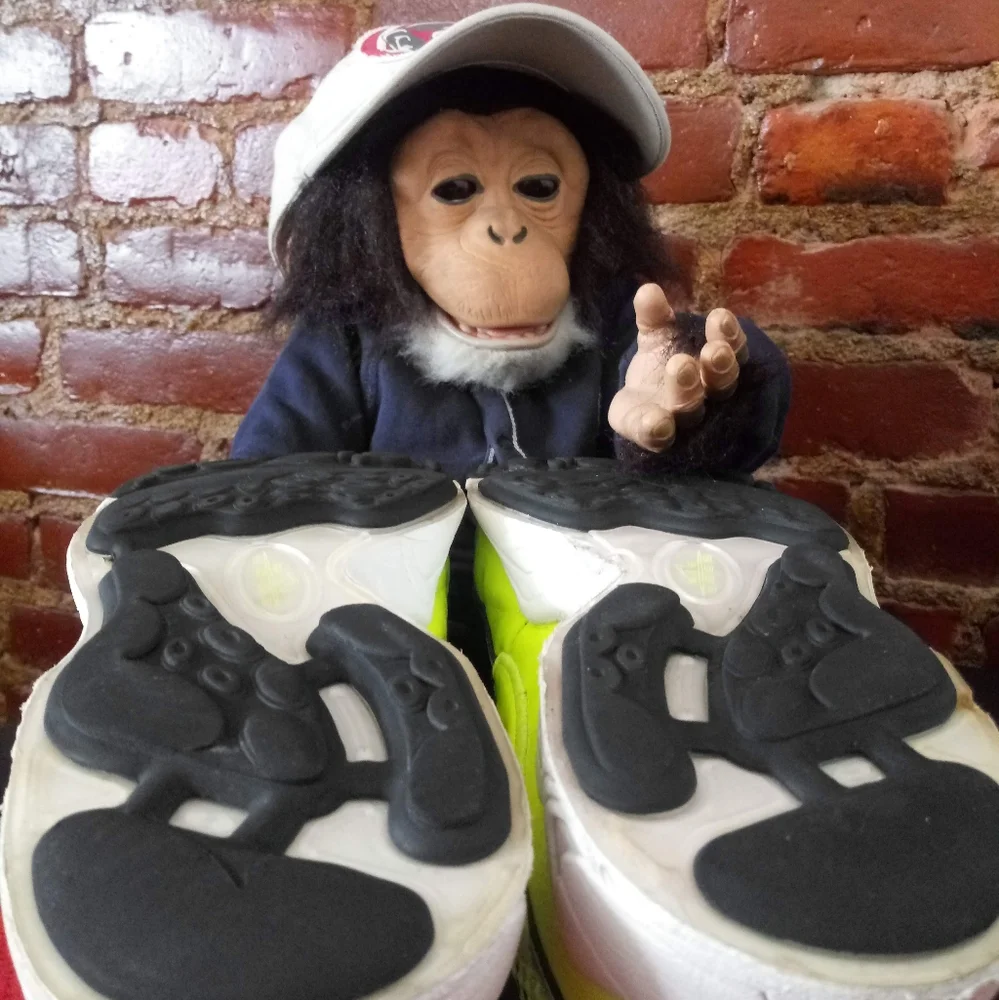 Nike Zoom Spiridon - Picture 9 of 13